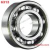 6313 bearing