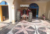 MF385 model 2019 for Sale