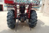MF240 model 2019 tractor