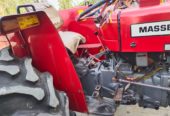 Massey Ferguson 260 Model 2017 rotary FIP